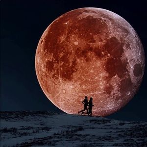 Meet your Posher, Garrett